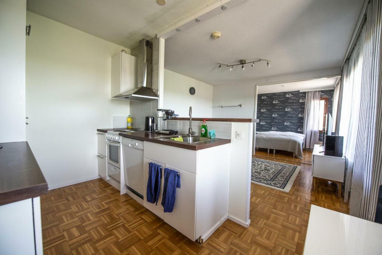 Mikkeli Citycenter Apartment With Sauna Εξωτερικό φωτογραφία